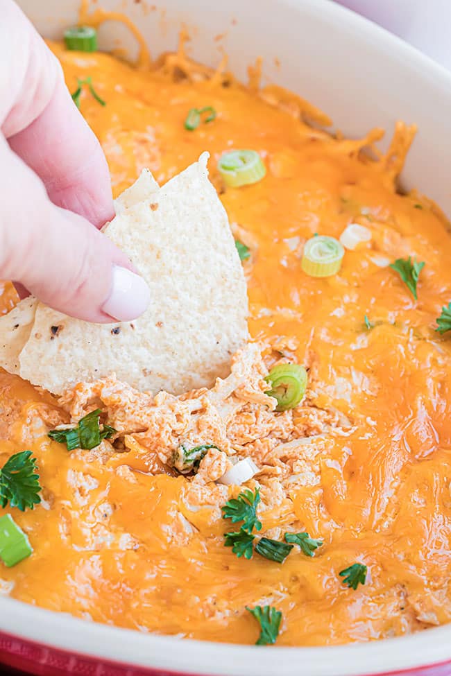 woman's hand holding a chip with cheesy buffalo chicken dip