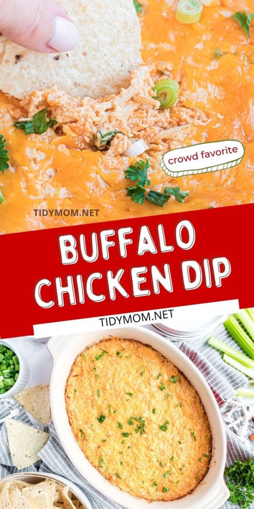 Easy Oven Baked Buffalo Chicken Dip (Rotisserie Chicken!) - TidyMom®