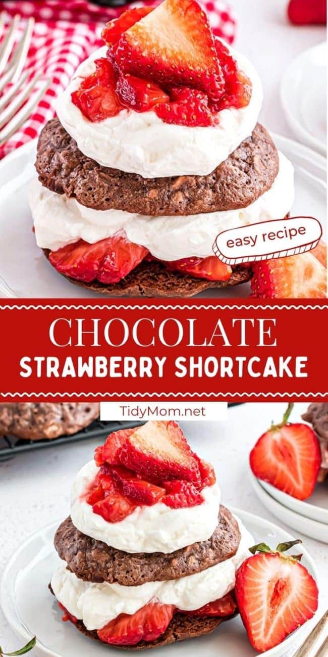 Chocolate strawberry shortcake on a white plate photo collage