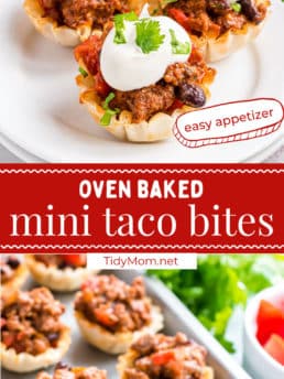 phyllo cup taco bites photo collage