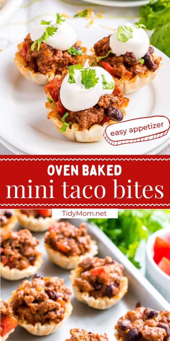 phyllo cup taco bites photo collage