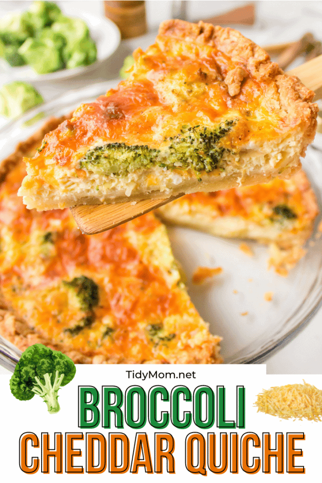Easy Broccoli cheese quiche slice on pie serve
