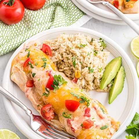 chicken and cheese enchiladas on a white plate with rice and avocados