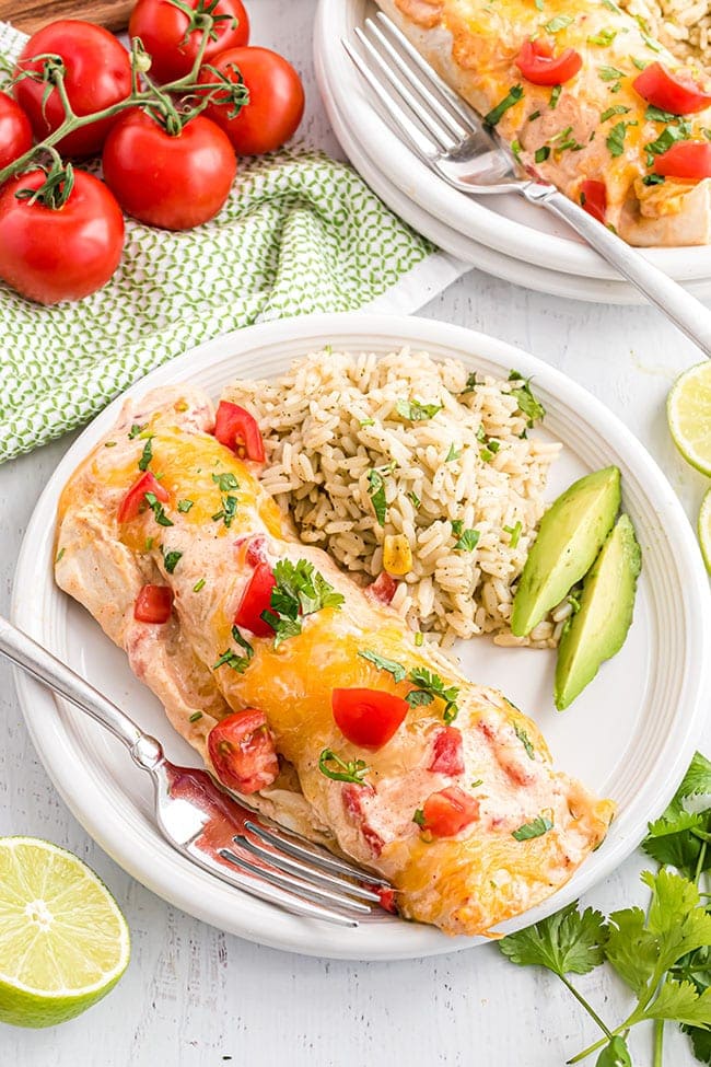  chicken and cheese enchiladas on a white plate with rice and avocados