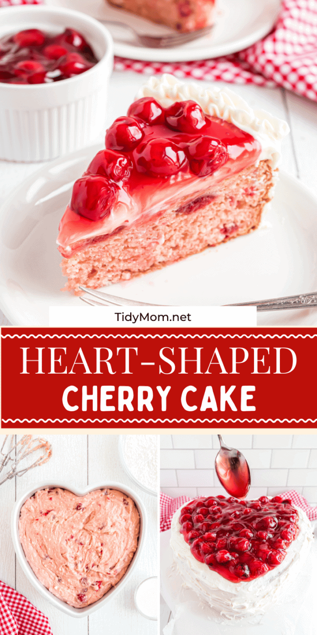 10 Best Cherry Cakes Glace Cherries Recipes | Yummly