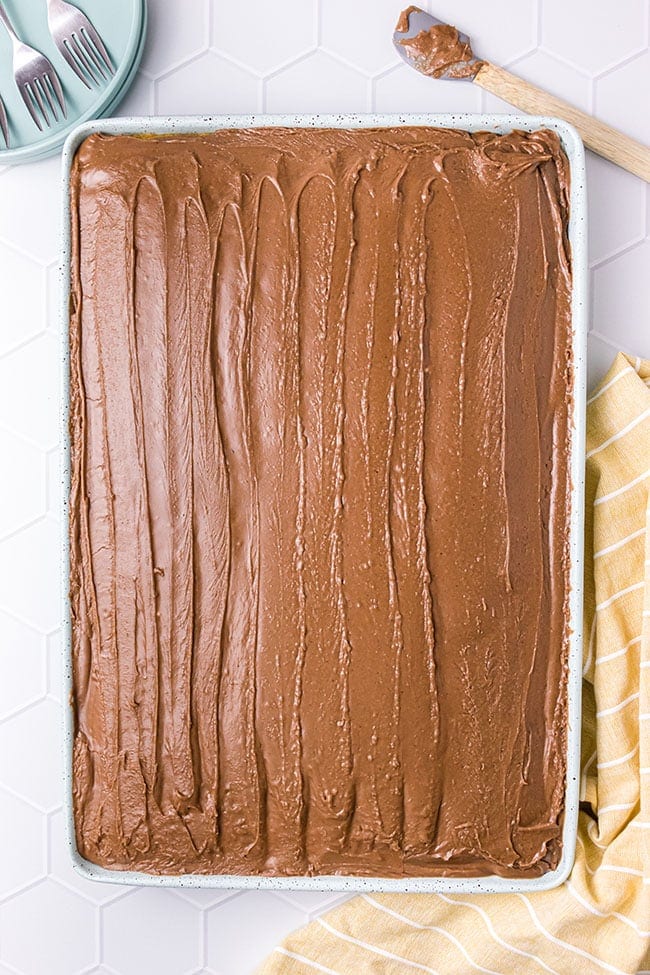 overhead shot of texas sheet cake with chocolate frosting