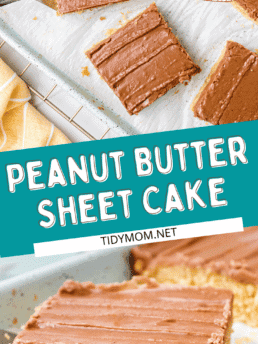 Peanut butter Texas sheet cake with chocolate frosting photo collage