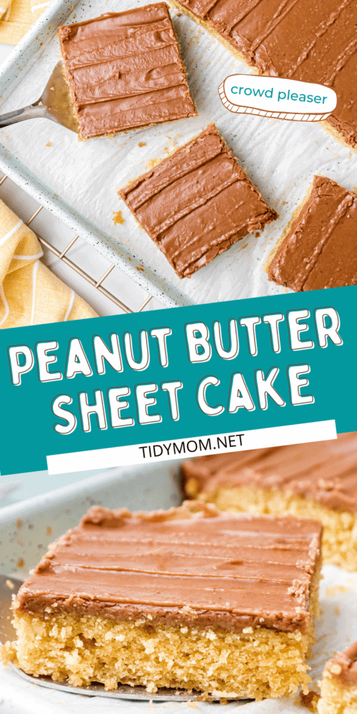 Easy Peanut Butter Texas Sheet Cake TidyMom®
