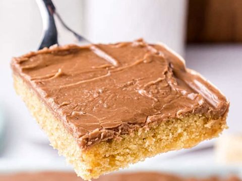 Peanut Butter Texas Sheet Cake Bundt Cake