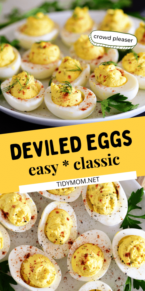 Classic Deviled Eggs - TidyMom®