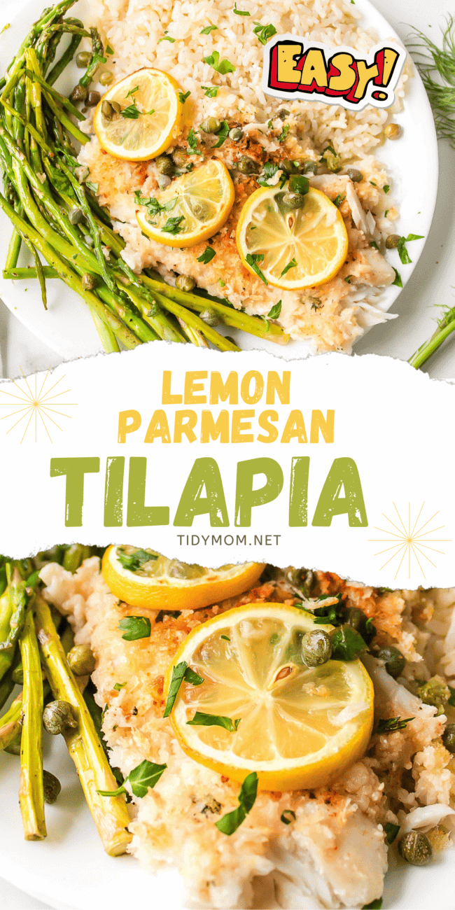 Oven baked Parmesan Crusted Lemon Tilapia on a white plate