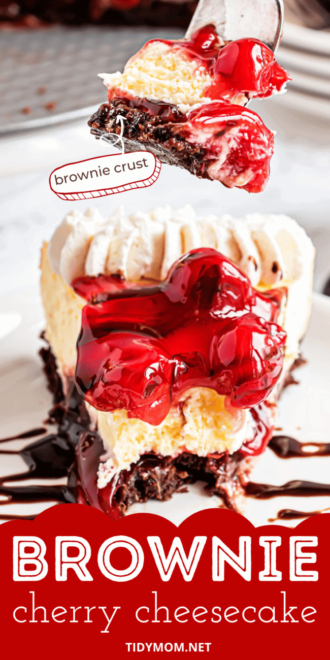 Brownie bottom cherry cheesecake on a fork