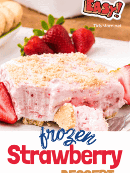 frozen strawberry dessert on a plate with a fork