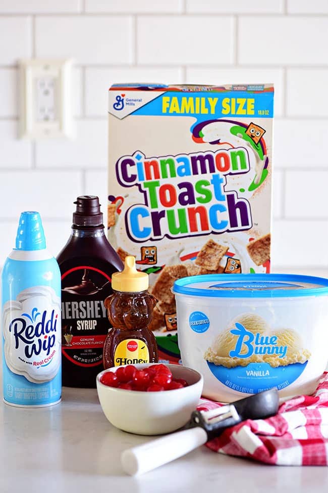 ingredients for fried ice cream recipe without frying