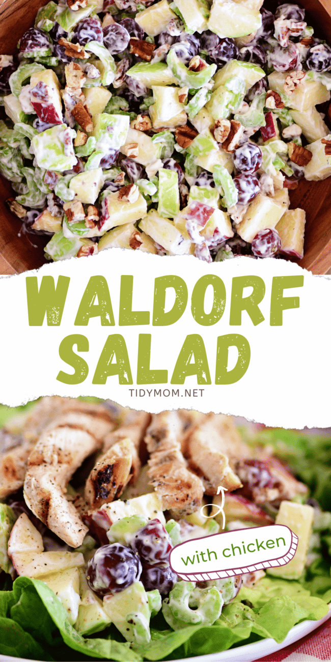photo collage of the best waldorf salad recipe