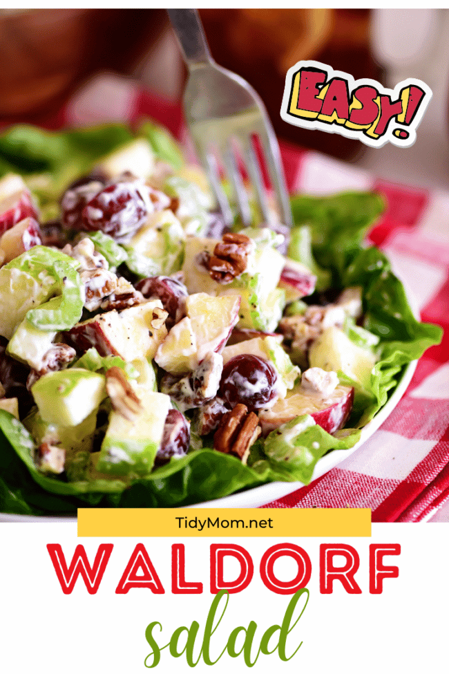 best waldorf salad on a plate with a fork