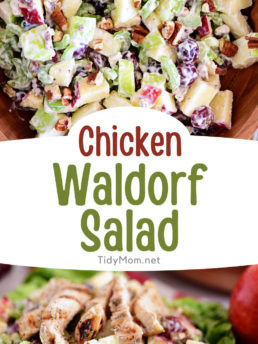 classic Waldorf salad photo collage