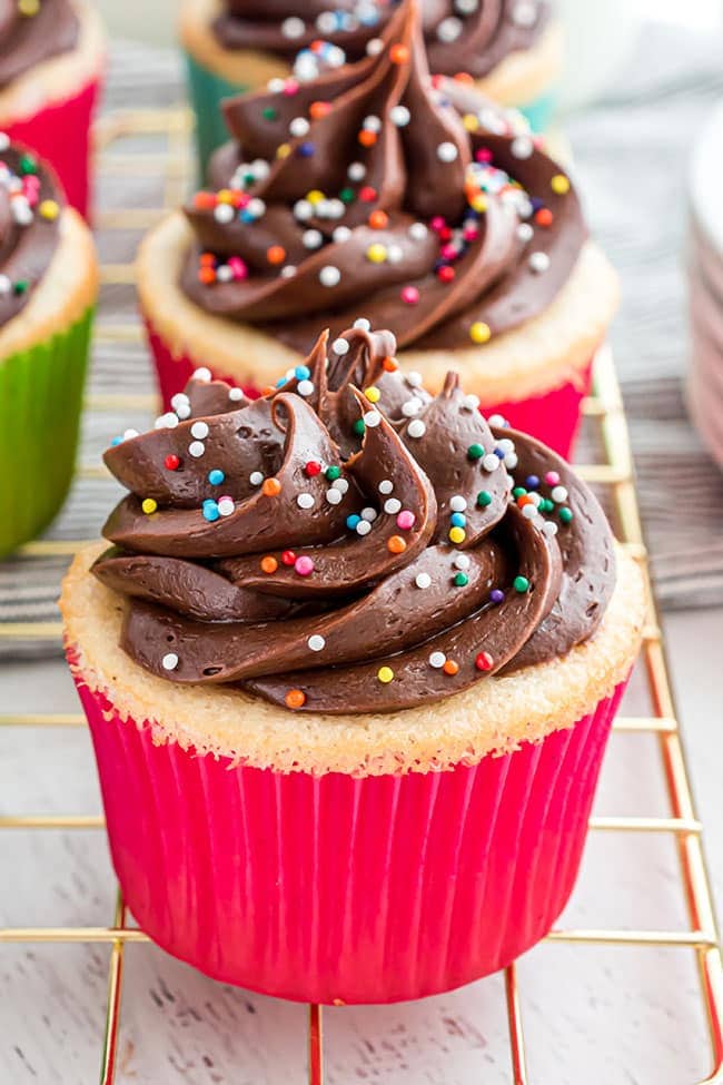 vanilla cupcakes with chocolate frosting