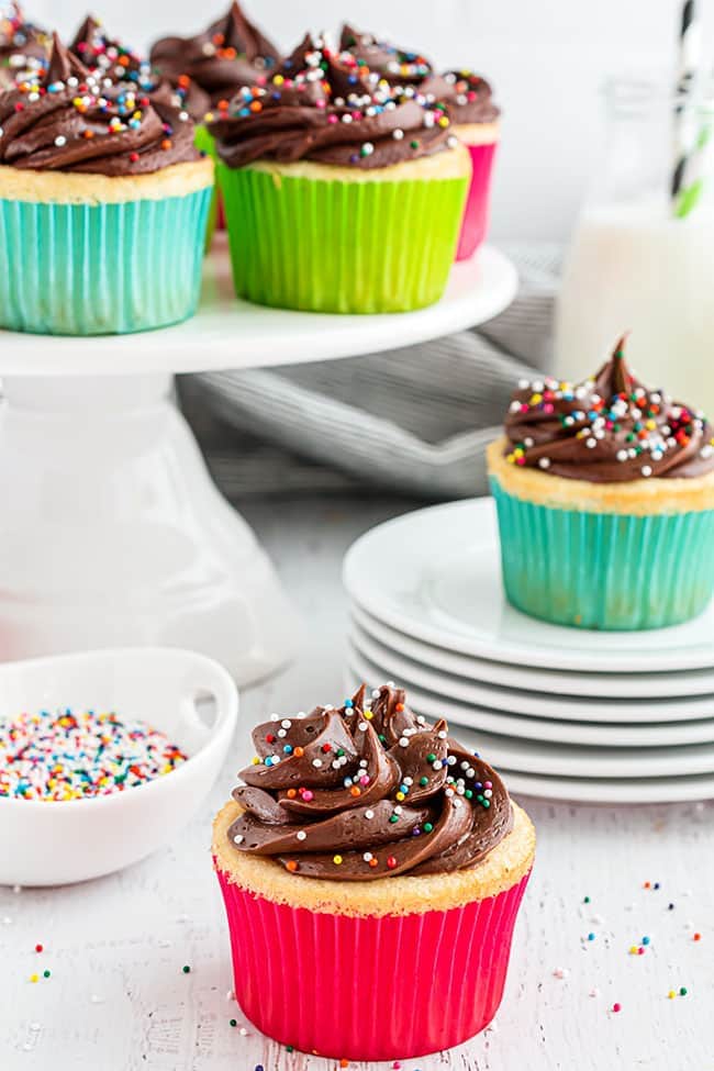 Homemade Vanilla Bean Cupcakes with chocolate frosting and sprinkles