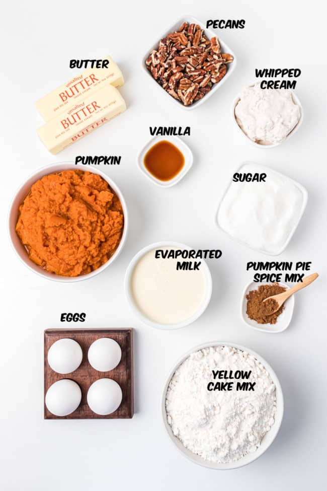 Easy Pumpkin Dump Cake ingredients