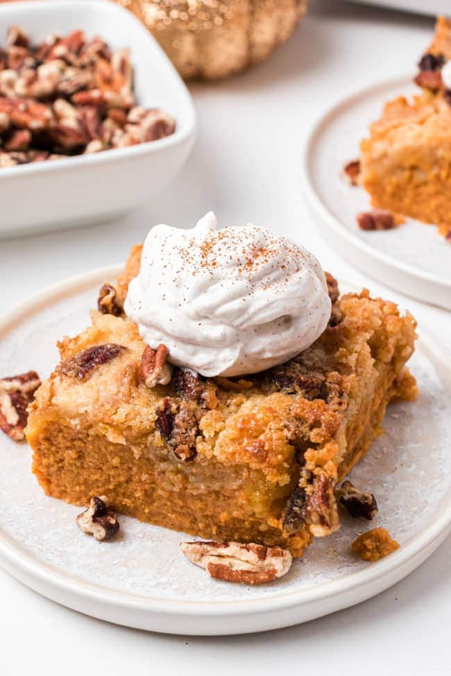 Easy pumpkin dessert with whipped cream on top