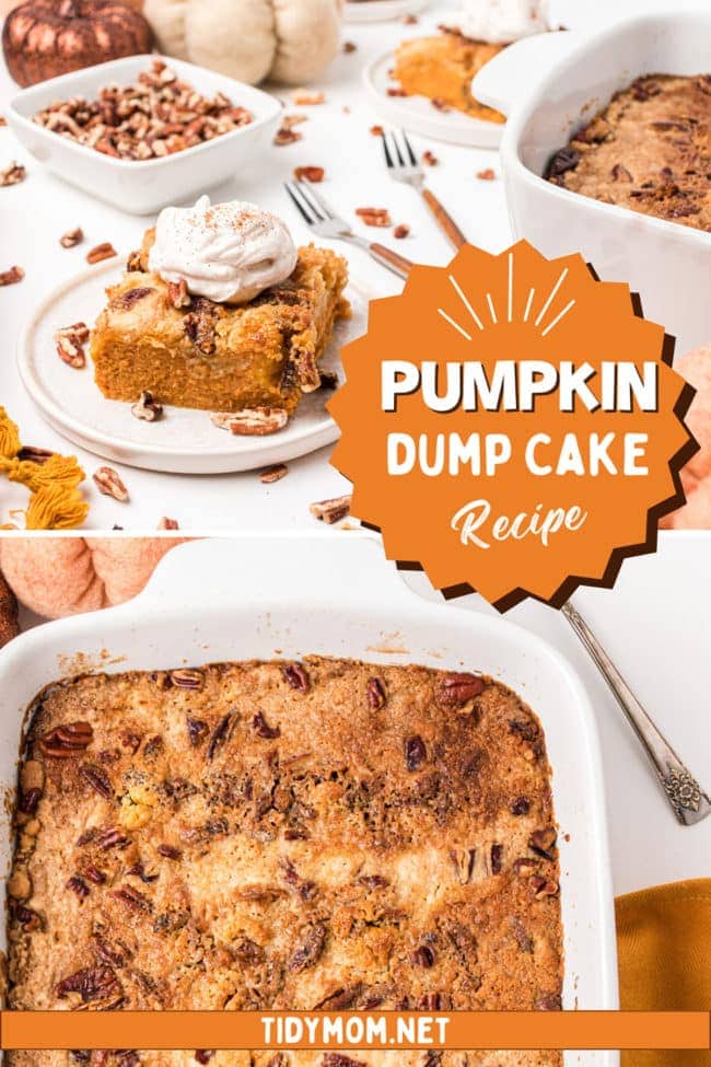 Pecan topped pumpkin dump cake with yellow cake mix