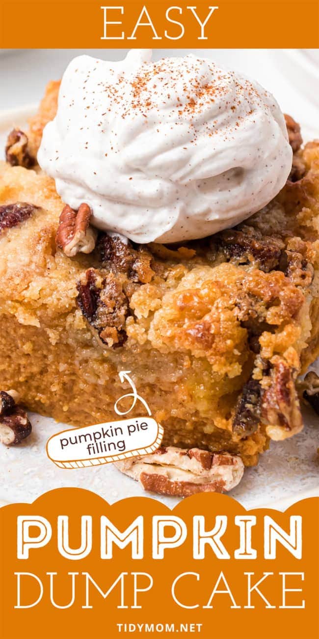close up of a serving of pumpkin dump cake with whipped cream