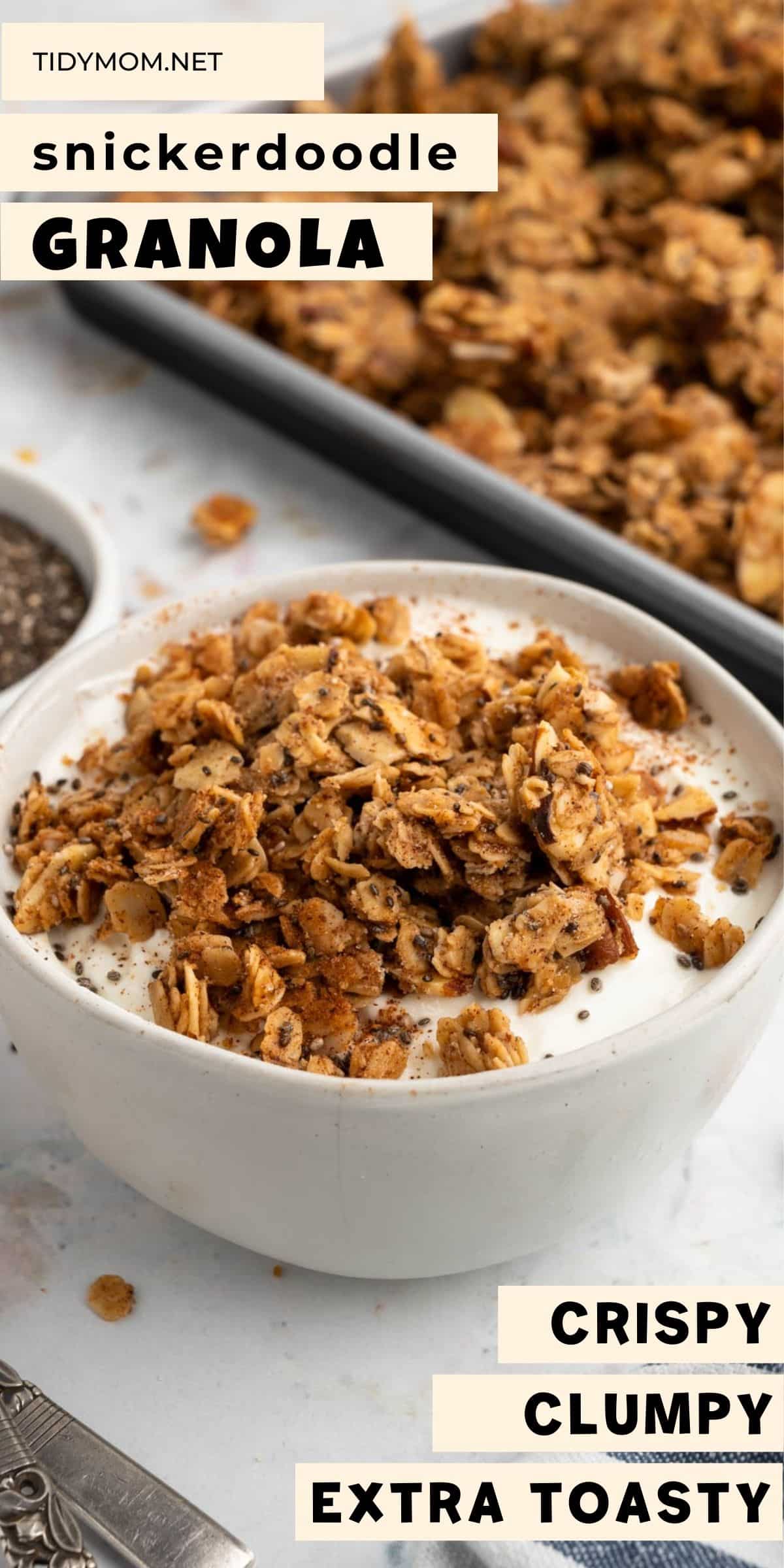 Snickerdoodle Homemade Granola Recipe - TidyMom®