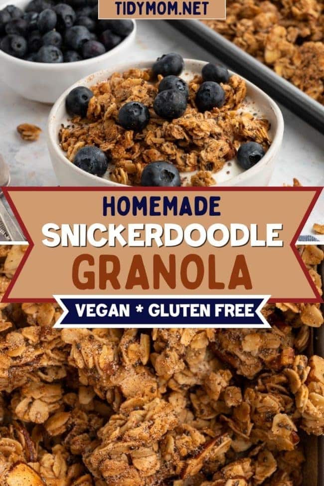 healthy homemade granola with snickerdoodle flavor