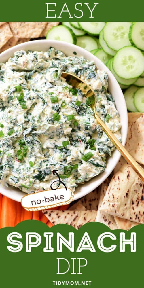 Spinach Dip With Knorr Vegetable Recipe Mix Tidymom Spinach Dip With Knorr Vegetable Recipe Mix Tidymom