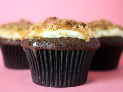 Turtle Cheesecake Cupcakes