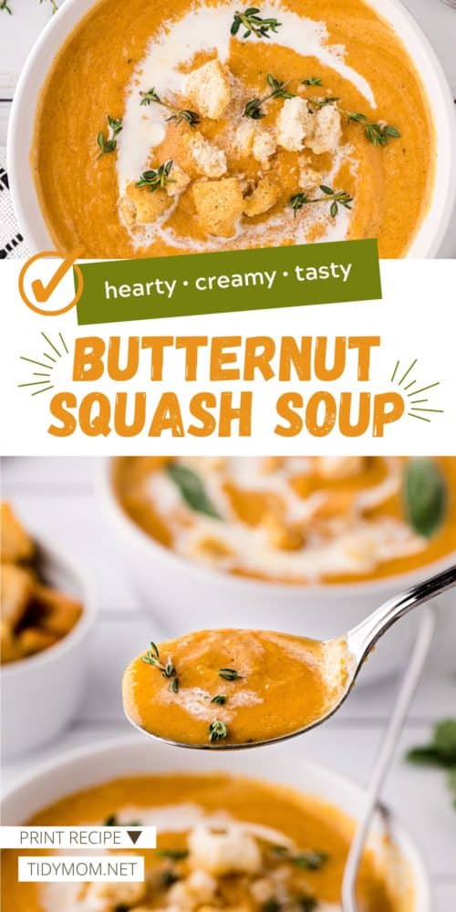 Easy Butternut Squash Soup (Stovetop) - TidyMom®