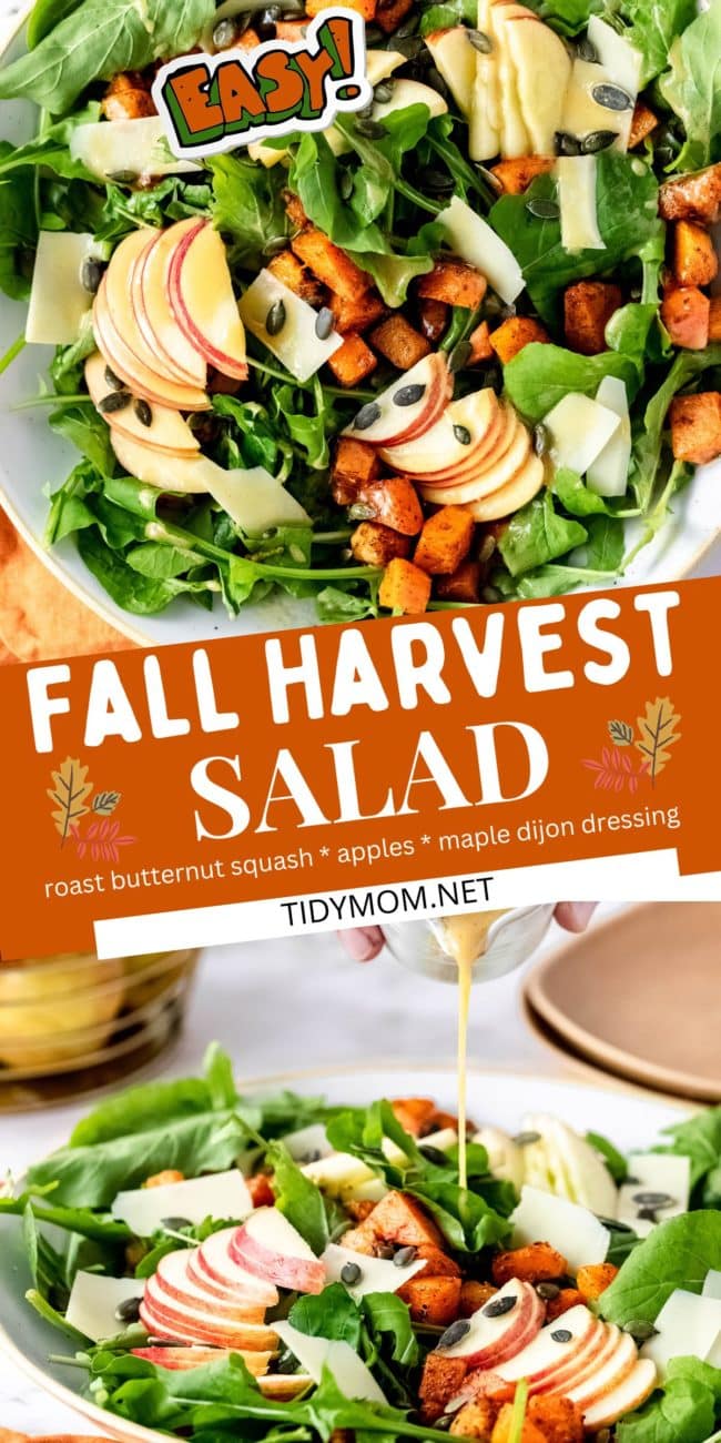 Harvest salad with roasted butternut squash