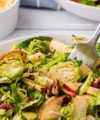 Bowl with shredded Brussels Sprouts Salad with apples, pecans and cranberries close up
