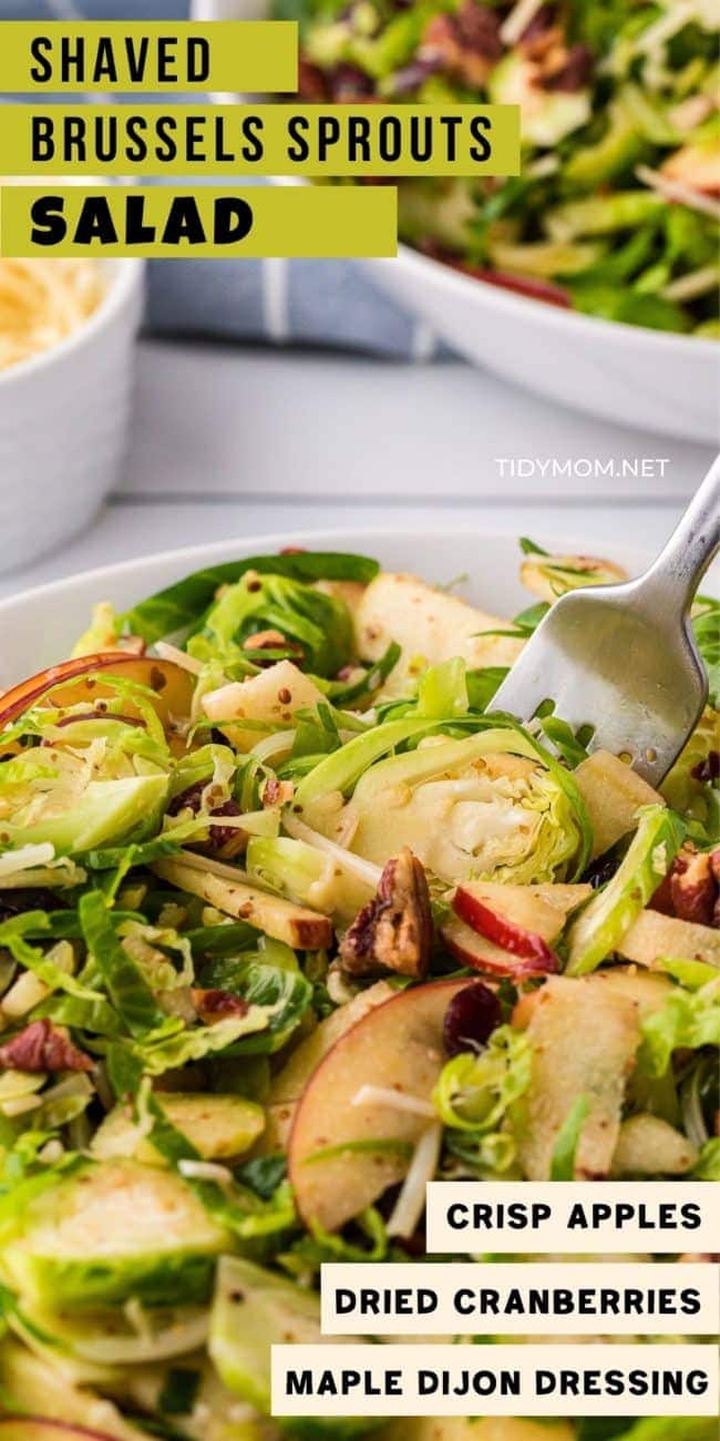 Bowl with shredded Brussels Sprouts Salad with apples, pecans and cranberries close up
