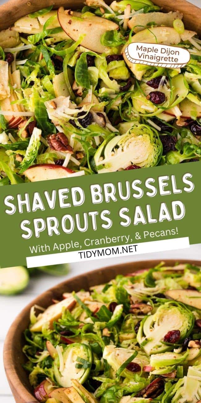 Shredded Brussels Sprouts Salad with apples, pecans and cranberries close up and in wood bowl