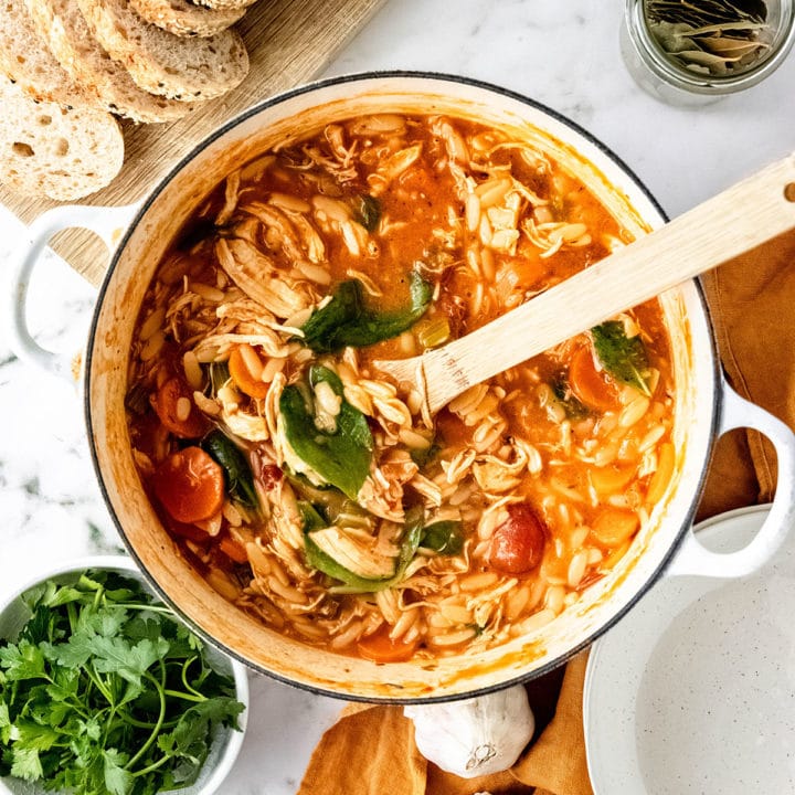 Creamy Tomato Turkey Orzo Soup Recipe - TidyMom®