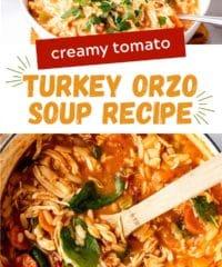 turkey orzo soup photo collage