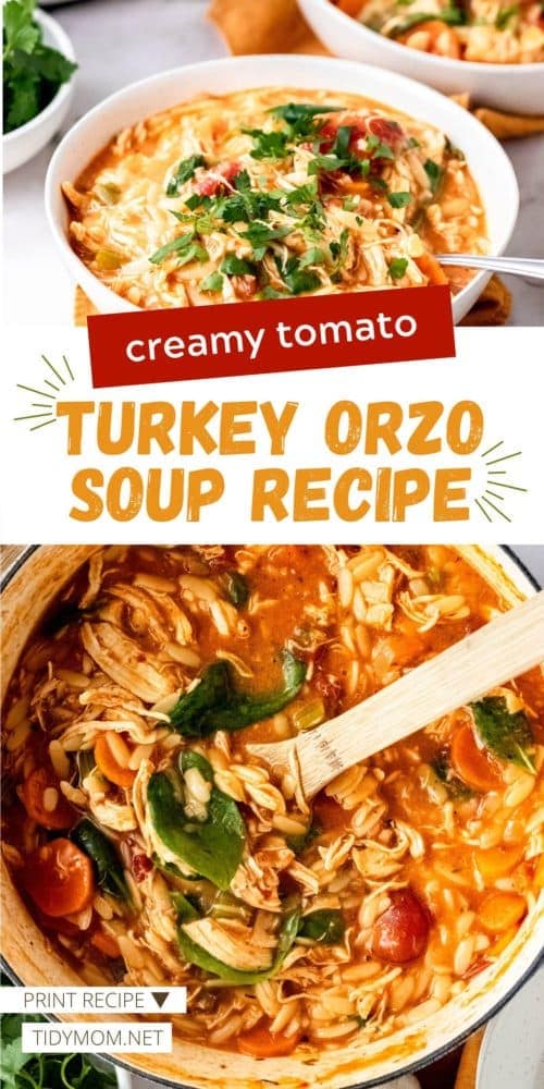 Creamy Tomato Turkey Orzo Soup Recipe TidyMom creamy-tomato-turkey-orzo-soup-recipe-tidymom