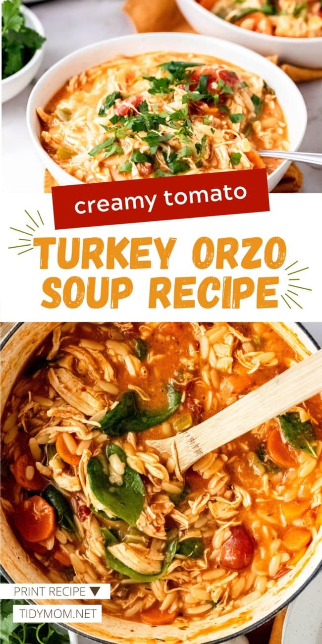 turkey orzo soup photo collage