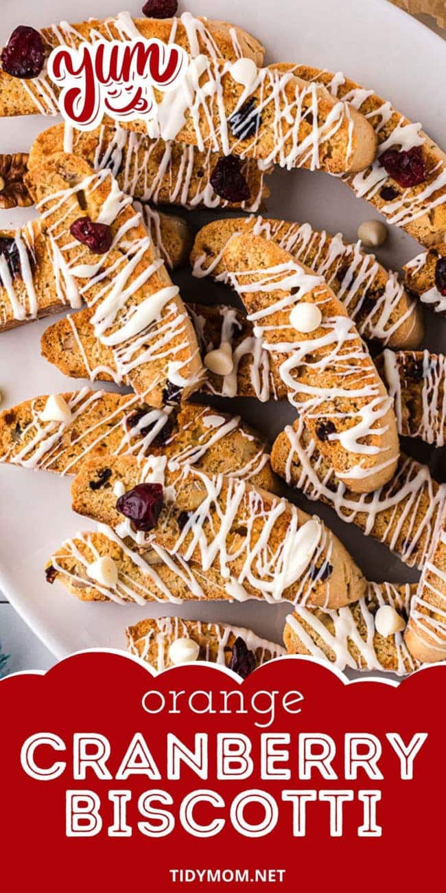 biscotti on a white plate with dried cranberries and white chocolate chips