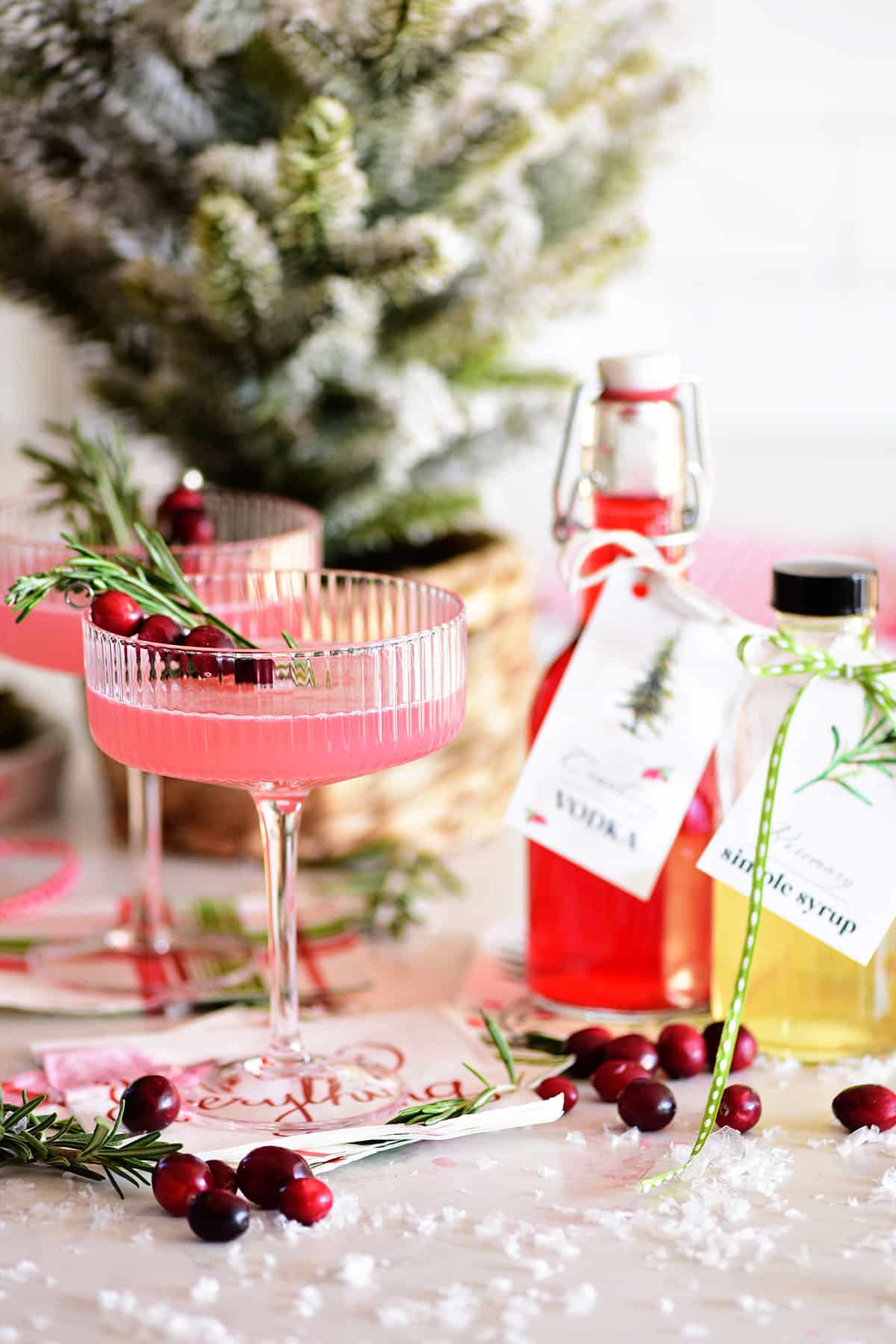 Cranberry Vodka Infusion (Homemade Flavored Vodka Gifts) TidyMom®