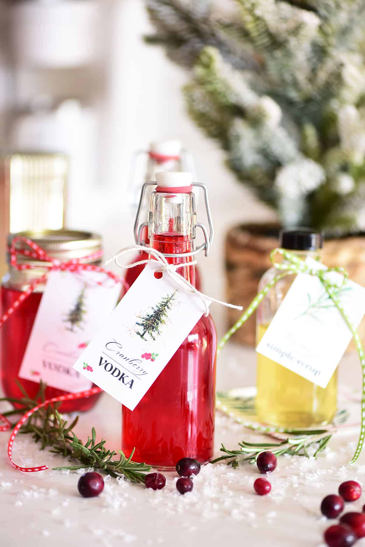 Cranberry Vodka Infusion (Homemade Flavored Vodka Gifts) TidyMom®