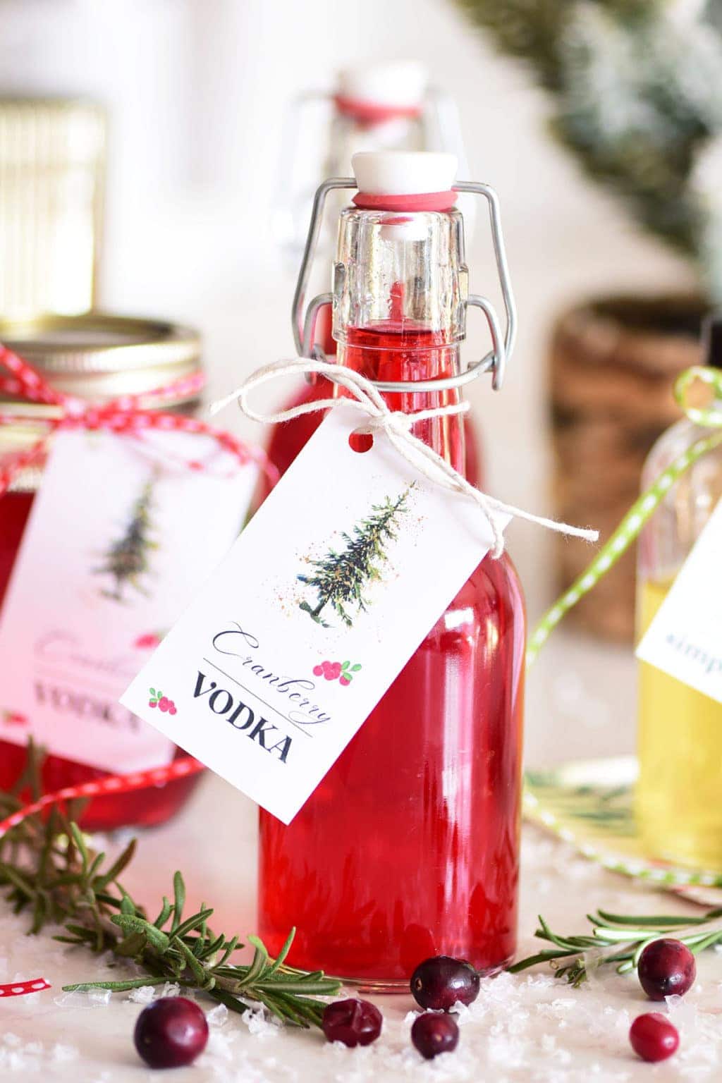 Cranberry Vodka Infusion (Homemade Flavored Vodka Gifts) - TidyMom®