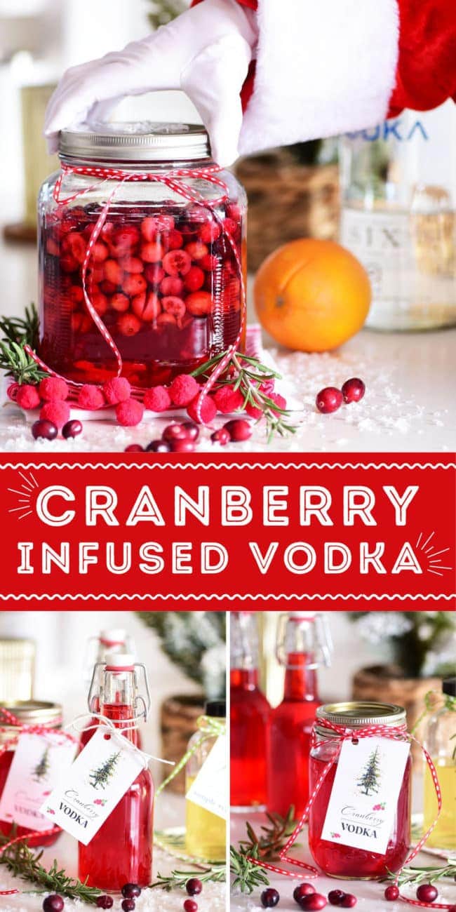 jar and bottles of cranberry vodka photo collage