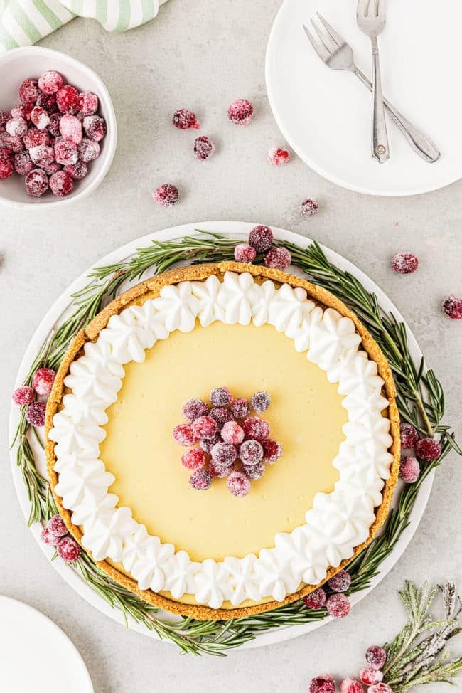 beautifully garnished cheesecake with rosemary and cranberries