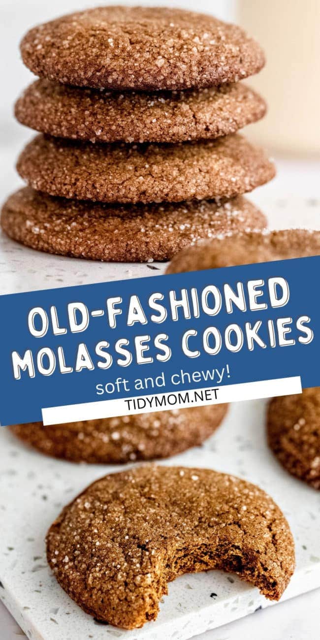 molasses cookies, one with a bite taken.