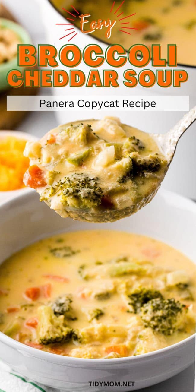 Copycat Panera Bread's Broccoli Cheese Soup Recipe