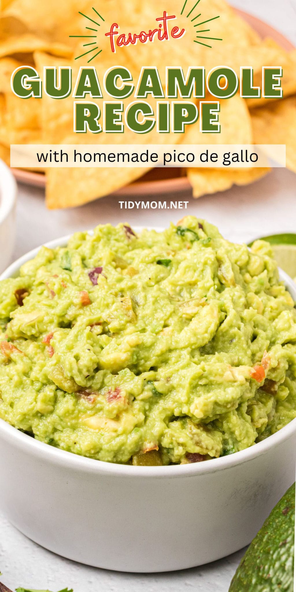 Guacamole Recipe With Pico de Gallo - TidyMom®