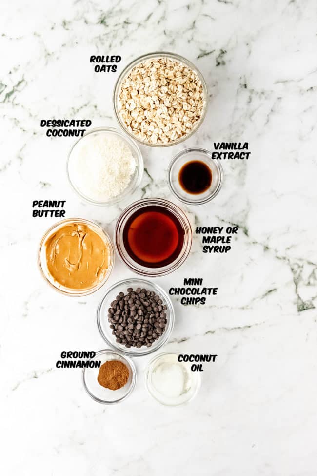 ingredients for No-Bake Peanut Butter Energy Bites
